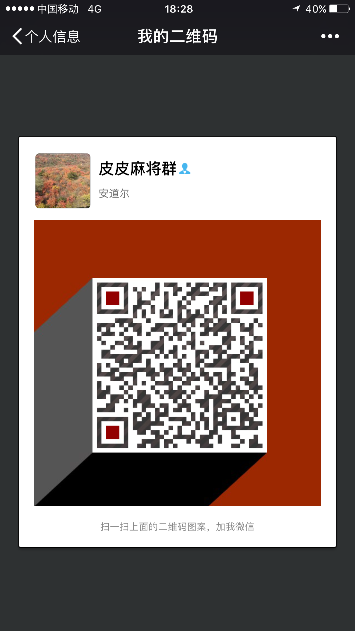 皮皮麻将群
