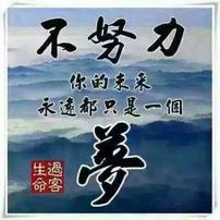 2017新项目发布群