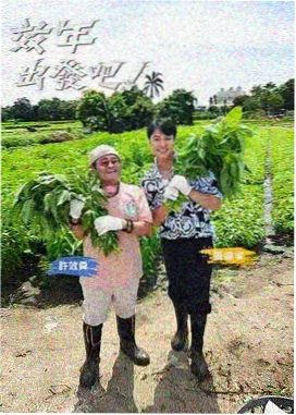 深夜食堂派 深夜访谈综艺海报